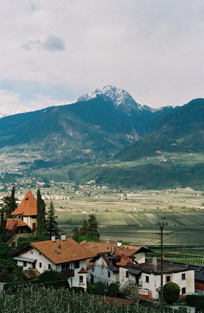 Small-scale producers in the Italian countryside, the type of farms a part of the Slow Food movement