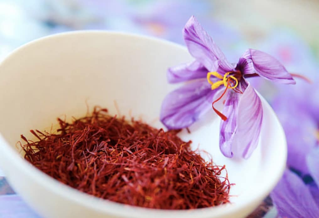 Saffron and crocus flower